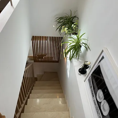 شقة Duplex Con Terraza Privada Y Parking A 15 Minutos De Sevilla
